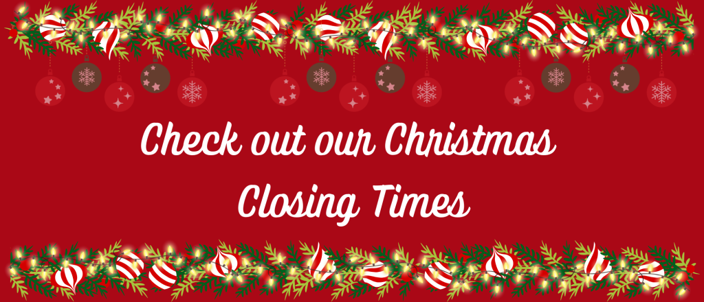 Elnur Christmas Banner - Closing Times